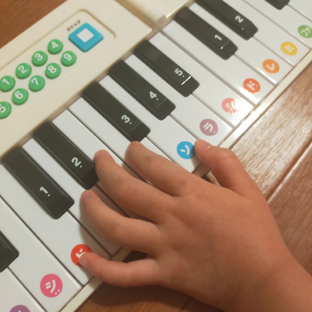 Hi_dali_marui's tweet photo. 【今日の #左ミッケ 🔍】
ピアノの練習をする”左”手🎹
モーツァルトやベートーヴェンも左利きだったのだとか！Σ( °∀°ﾉ)ﾉ
ショパンの『革命のエチュード』は左手が難しく、左手の練習曲として有名ですよね！かっこよく弾ける方憧れます！✨ https://t.co/gmzMUazWOZ