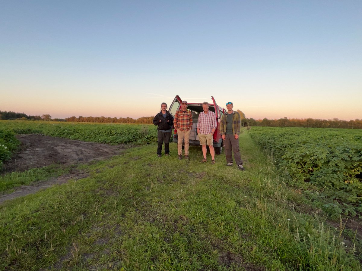 dk_vng_ICOS's tweet photo. The peak of the summer. Above-ground biomass sampling at the @ICOS_RI cropland station, Voulundgaard, just before harvest. This year's crop was potatoes. Heavy fieldwork. But great and effective team. Now back to the lab to dry samples. https://t.co/WgEWHZtGYU