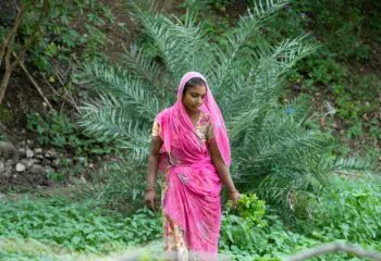 IFDCAsia's tweet photo. To harness the potential of #youth in India, @IFDCGlobal through #AFIProject creates awareness &amp; enhances youth #farmers’ knowledge on improved technologies &amp; #GAPs for increasing crop #productivity &amp; accelerating their incomes. 
:https://t.co/kFtCjYjR7b  

#foodsecurity https://t.co/QDE1cRAl60