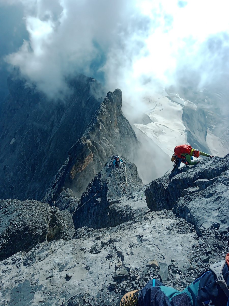 Progresar y avanzar. Descubrir.