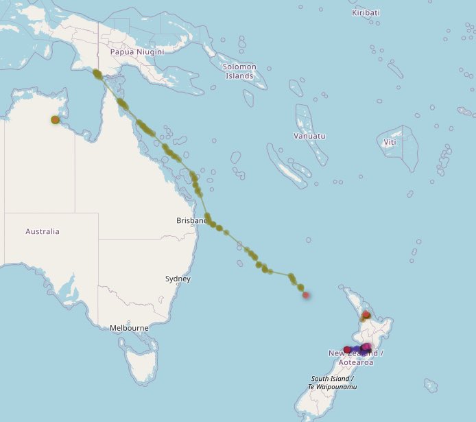 miranda_trust's tweet photo. The godwit is still making good progress across the Tasman Sea, and seems to be avoiding the huge storm currently over the sea
I wonder if she is heading back to Matarangi? https://t.co/efzpKJ80Ys