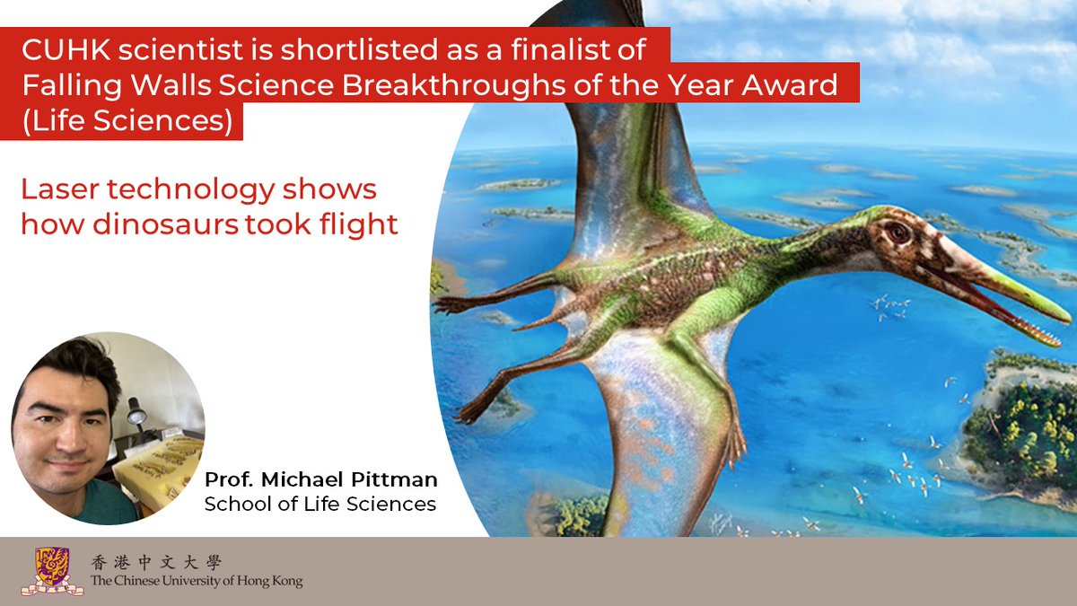 CUHK Office of Academic Links tweet media