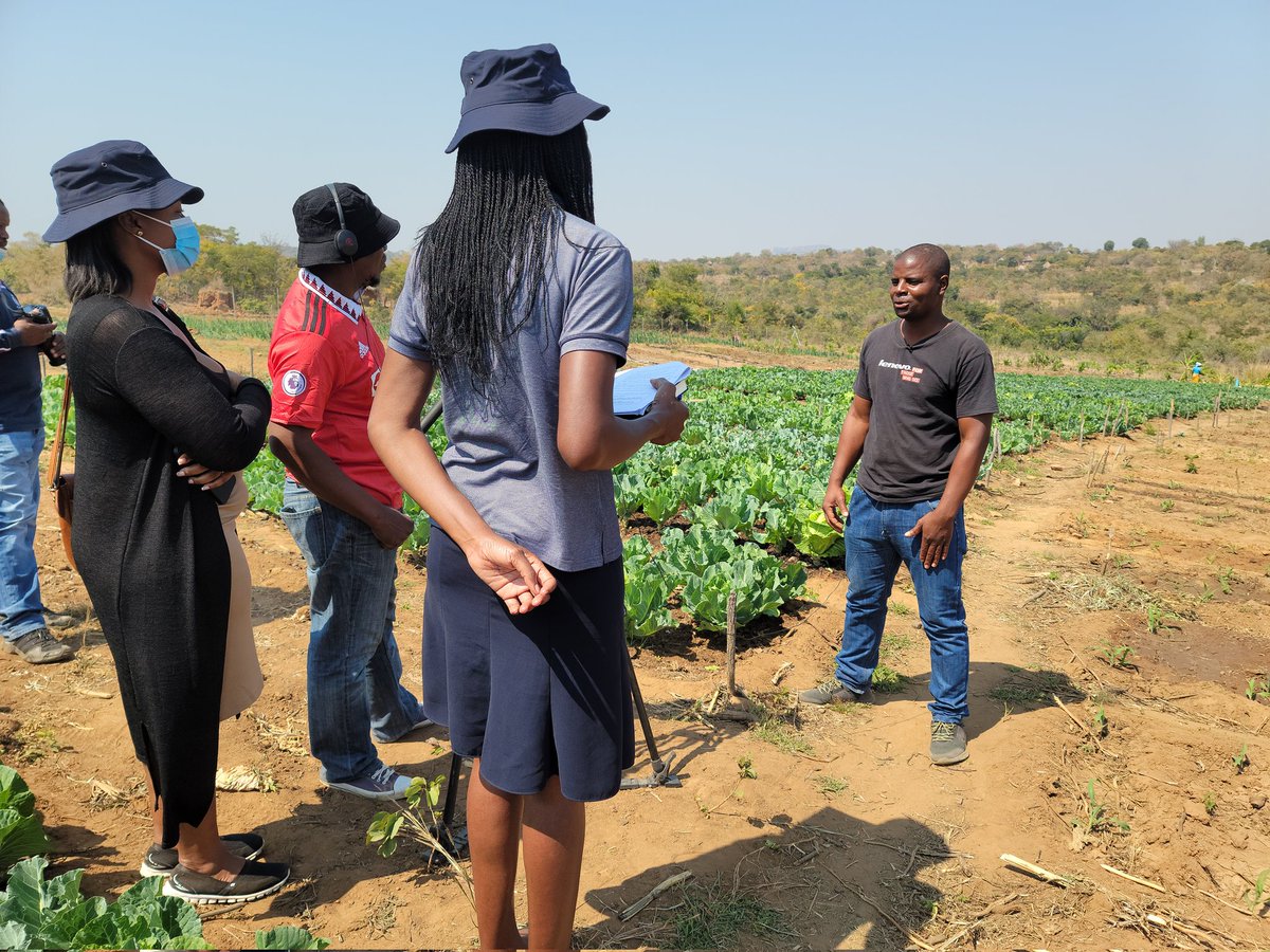 FNC Zimbabwe tweet media