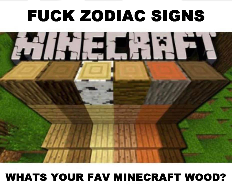 Minecraft Memes ⛏️ tweet media