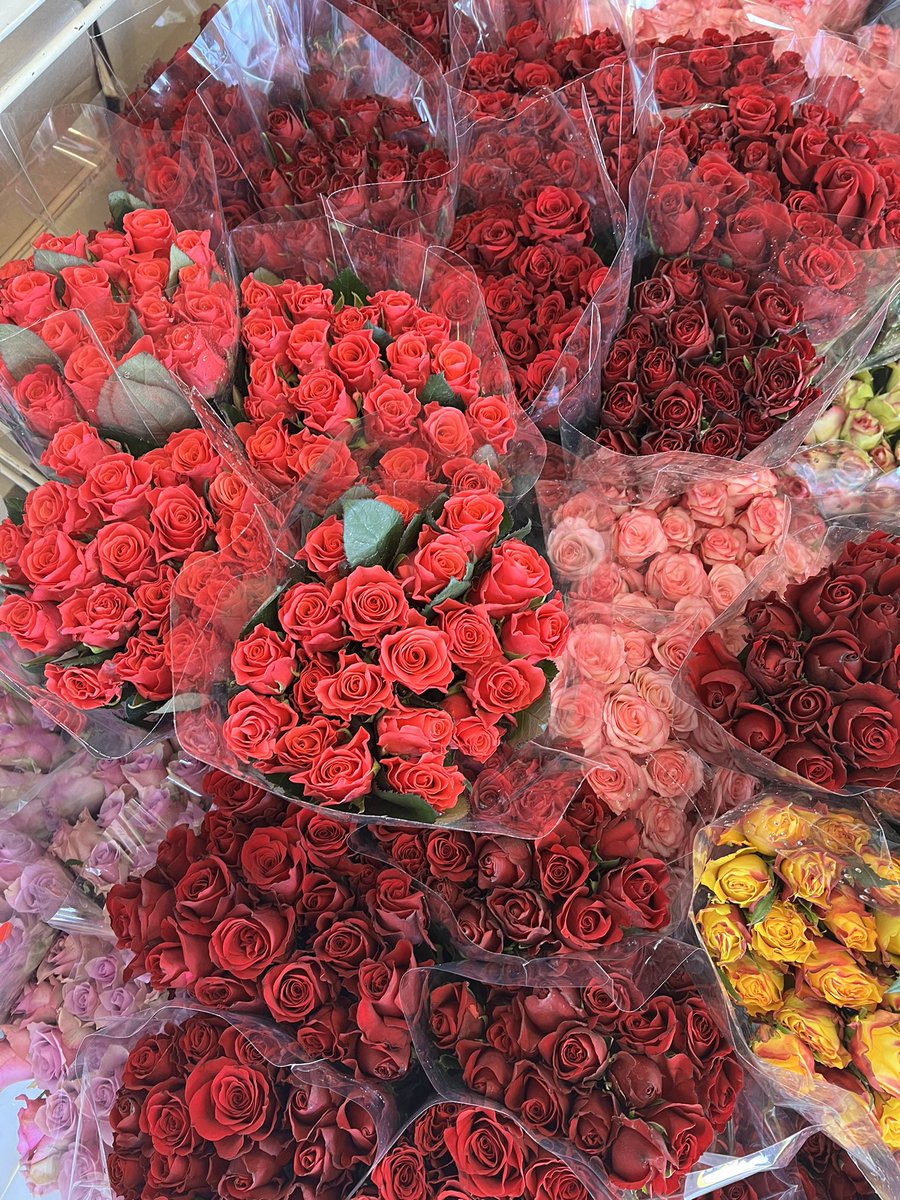 TenRosesflorist's tweet photo. R150 for 20 roses 🌹 #GirlsTalkZA #BlackBusiness #IndependenceDay #decor #Flowers #tercih2022 https://t.co/nIk5Rn9cCX