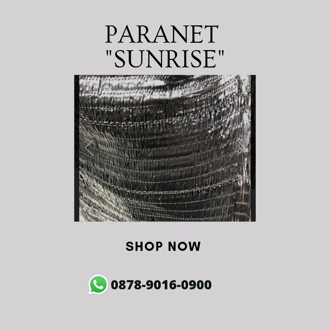 grosirparanet's tweet image. Partai Besar, WA+6287890160900, Grosir daya tahan paranet Surabaya

#paranetdesign #paranetdanplastikuv #dayatahanparanet #desainparanet #dindingparanet