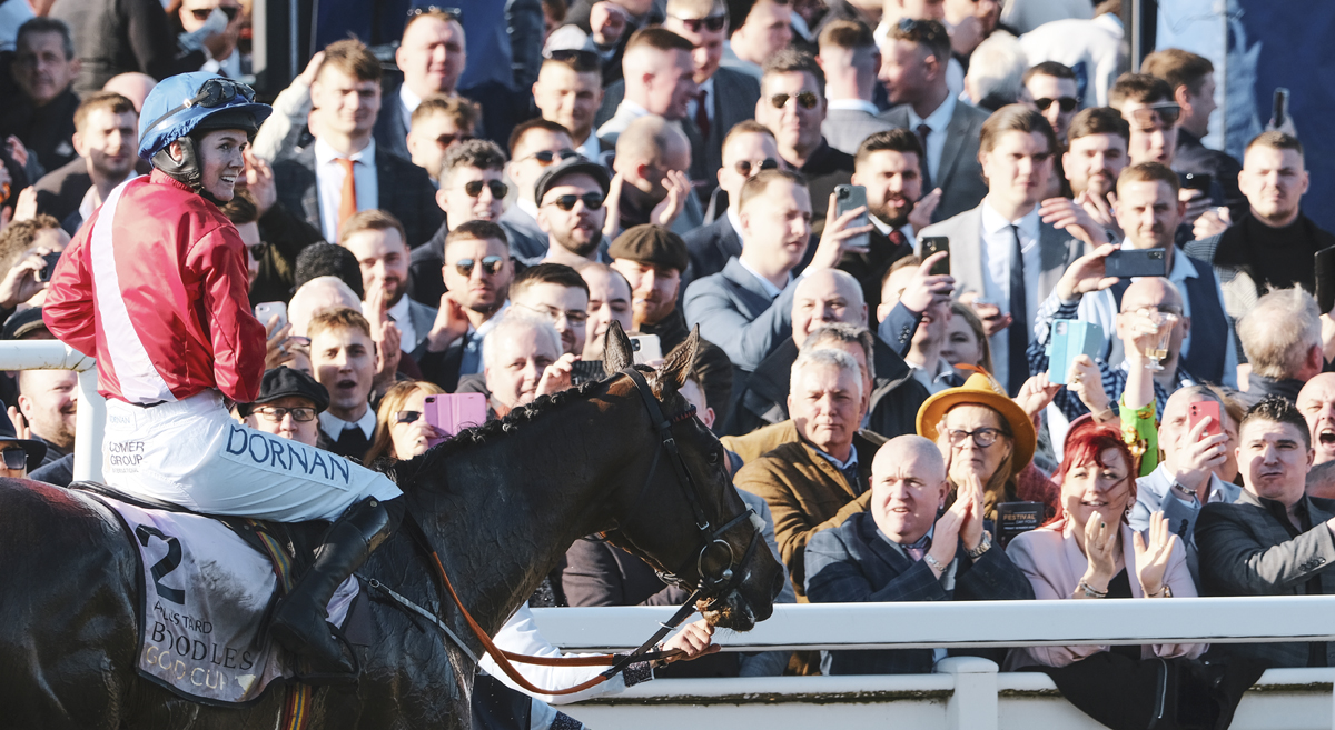 CheltenhamRacecourse tweet media