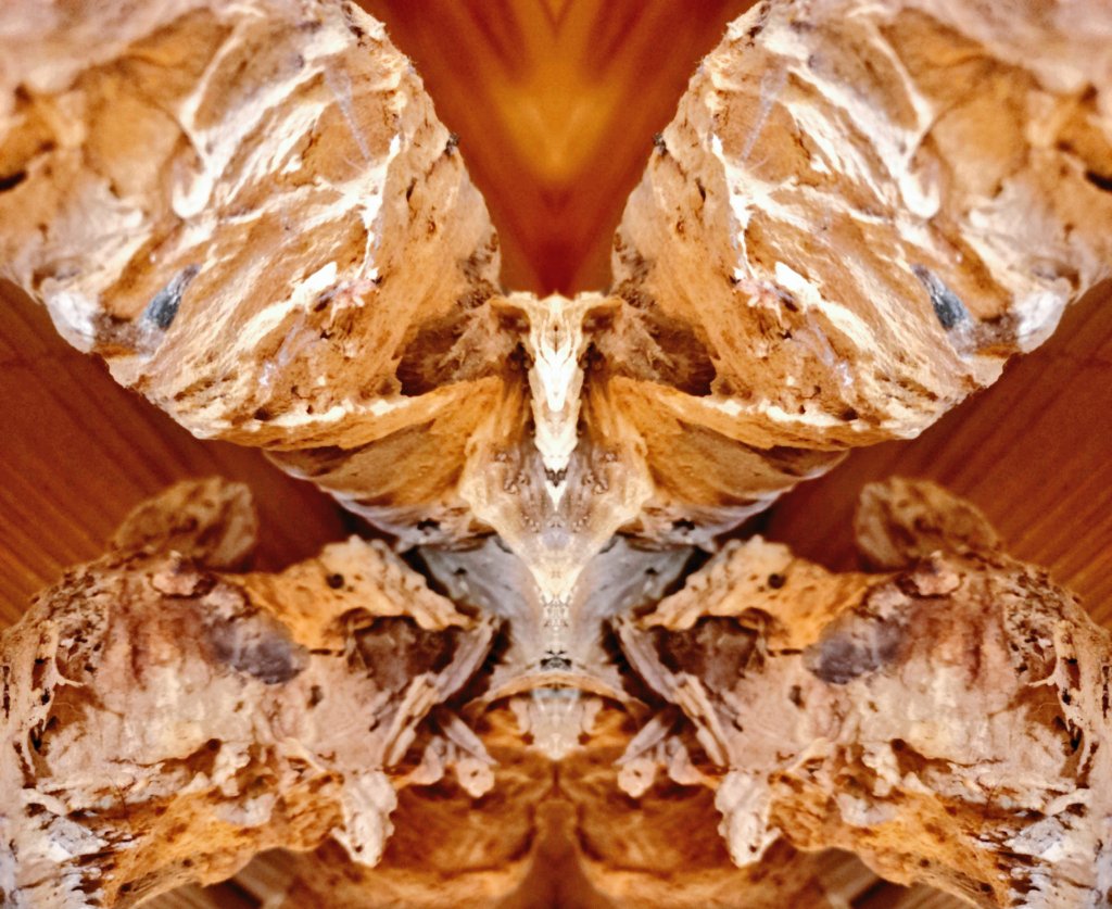 RoeliRoots's tweet photo. I'm watching the cryptospace like a hawk this week. Is the market going up or down? #nftcommunity #nfthawk #NFTartist #nftanimal #realnft https://t.co/7OFs0r1bQA