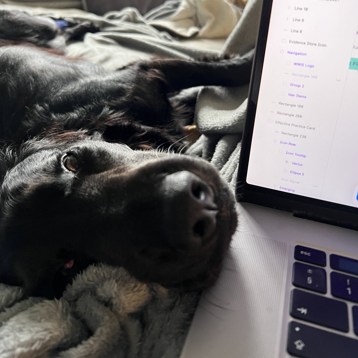 I can feel those eyes judging my lack of layer names 👀