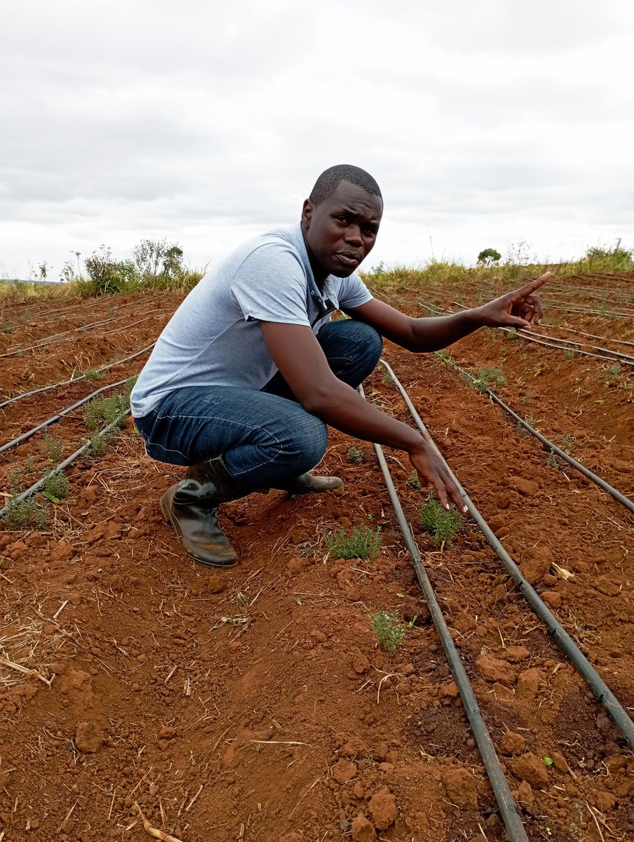 ParisThumi's tweet photo. Determining the suitability of land for irrigation requires a thorough evaluation of the soil properties, the topography of the land in the field and the quality of water to be used for irrigation. A basic understanding of soil/water/plant interactions is very crucial.
#soilwater https://t.co/slj0YRrUqx