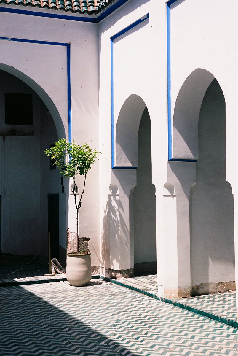 MANPROD3's tweet photo. DAY : 16 Architectures

- Palais de la Bahia 

#31themesanalogchallenge https://t.co/SOI8vqHvts