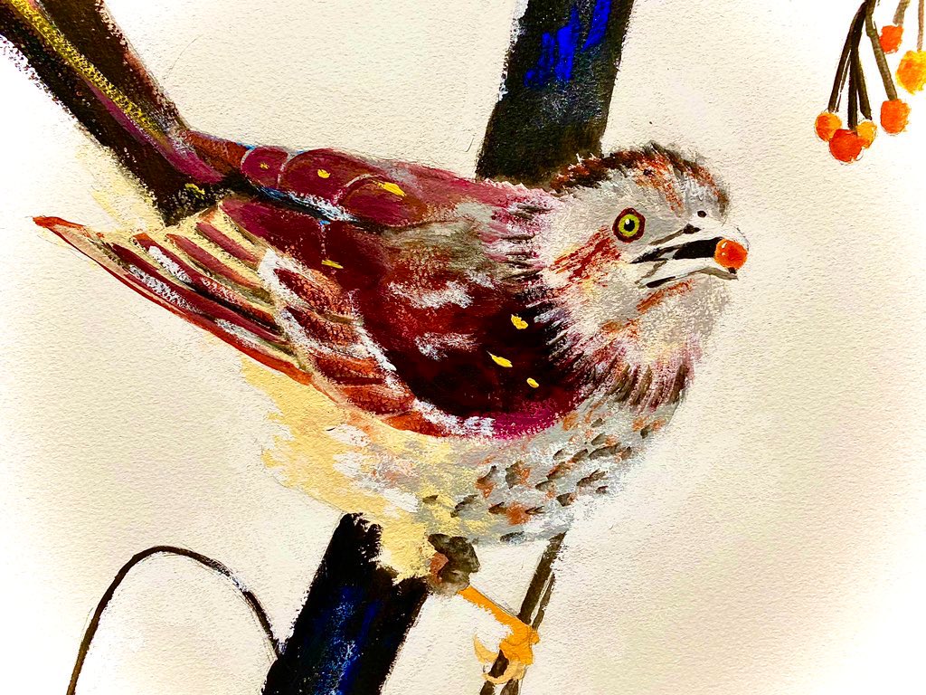 「意外と小鳥を描いてる率が低いんですよね〜…。#動物イラスト #小鳥 #絵描きさん」|tabino.のイラスト