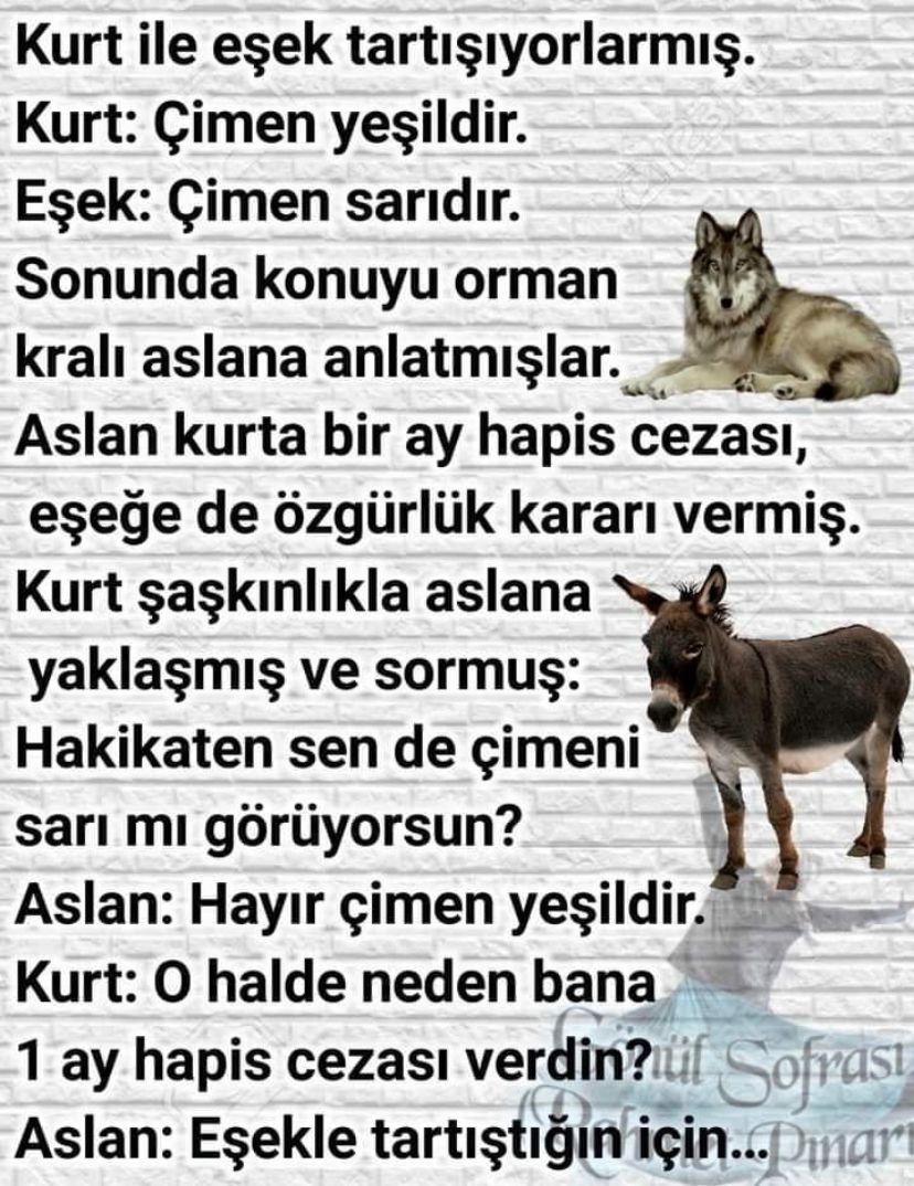 Fenerbahçe kurttur tartısmaya girmeyin👍💙💛