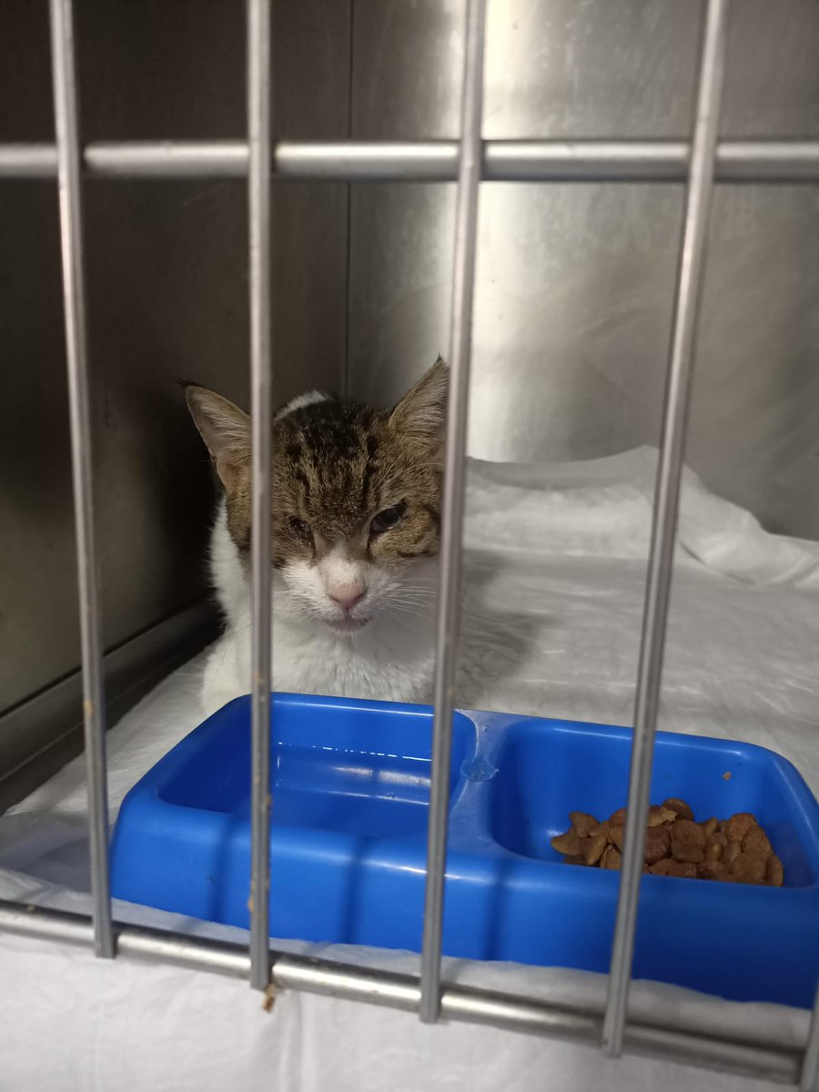 Masum Gözler tweet media