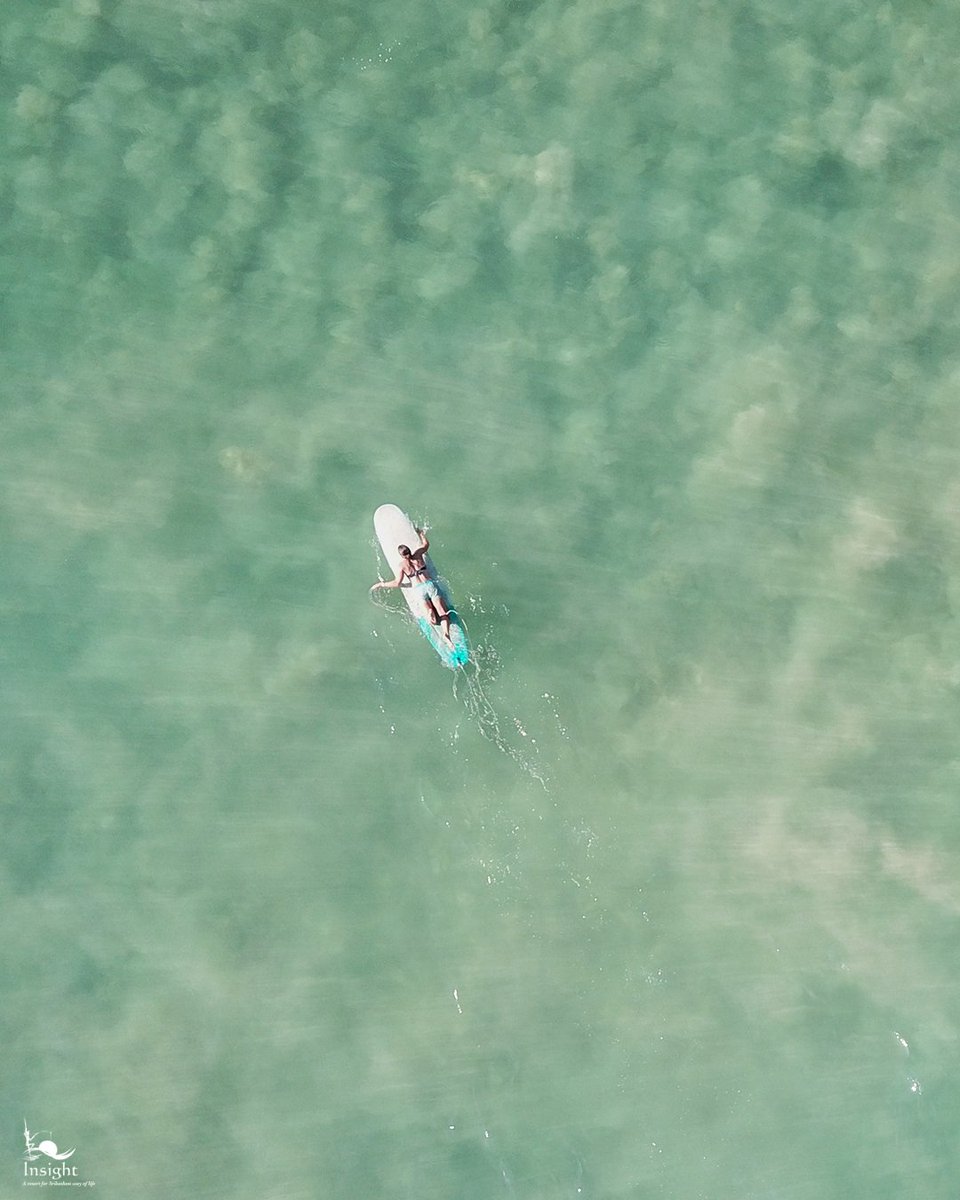 insightresort's tweet photo. Jobs fill your pocket. Adventures fill your soul. - Jaime Lyn Beatty
.
.
#Insight #InsightResort #Ahangama #SriLanka #Galle #Downsouth #Travel #Beach #BeachResort #BeachHotel #Surfing #SurfLife #Ocean https://t.co/xQL58GxZCG
