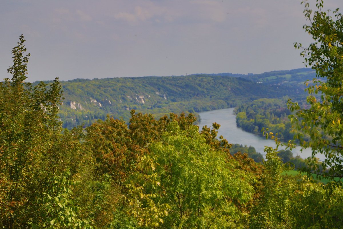 🌾#biodiversité | Le réseau Natura 2000 oeuvre pour la protection de la biodiversité et de ses habitats naturels. Le #valdoise compte 5 sites : 3 sont dédiés à la protection des habitats et des espèces et 2 à la protection des oiseaux
🤝Préservons la biodiversité du #valdoise !