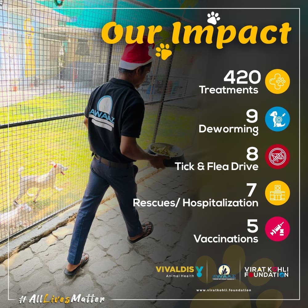 sevvafoundation's tweet photo. Our #Pawprint 🐾 for the month of July 

#VKF #VKF4Change #Vivaldis #BarkOutLoud 
#AnimalWelfare https://t.co/uDRE1PQuKh