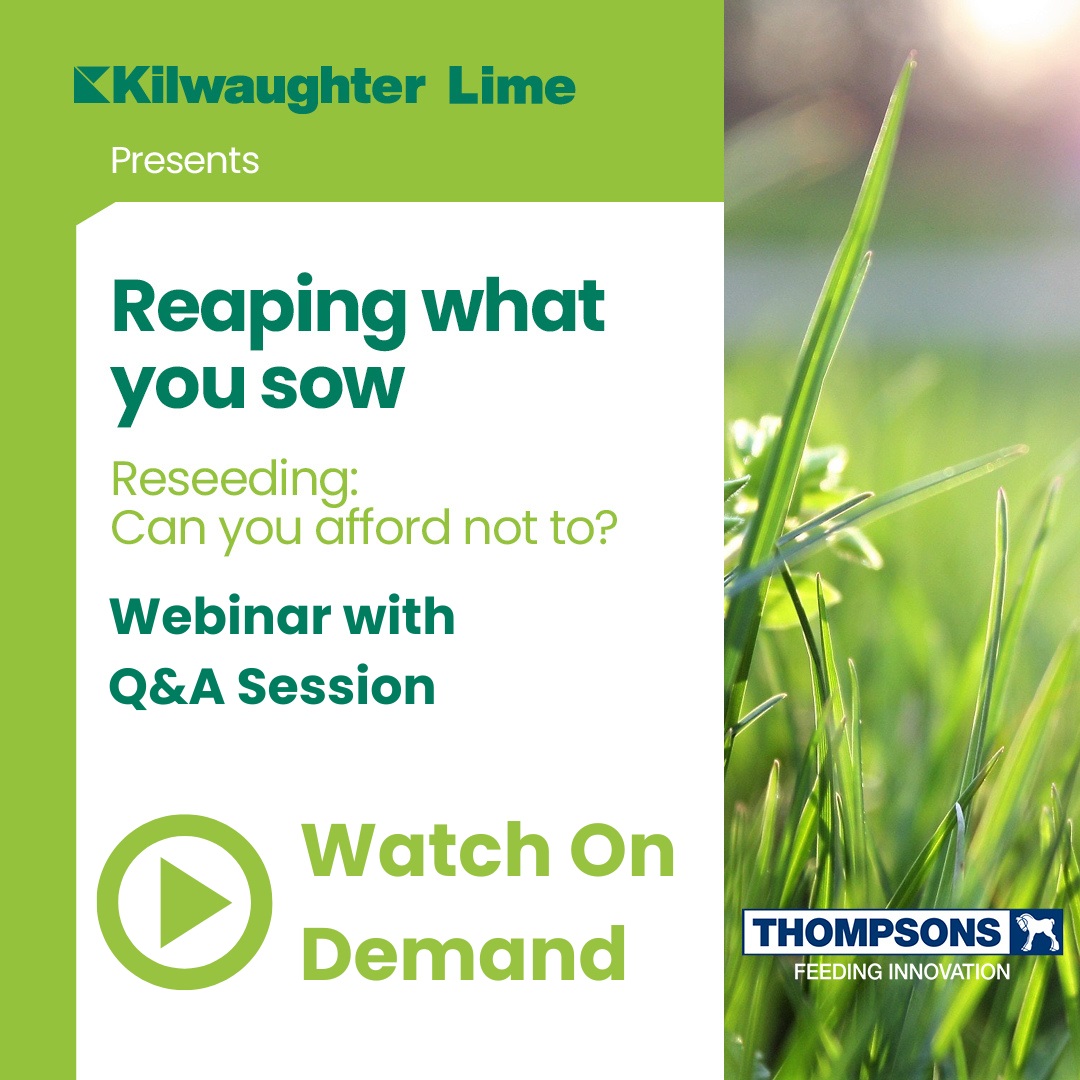 A webinar, hosted by Kilwaughter Lime and John Thompson &amp; Sons digs up the detail on the benefits of re-seeding or rejuvenating grass swards.
To watch on demand, visit trib.al/ZDqEeCQ
