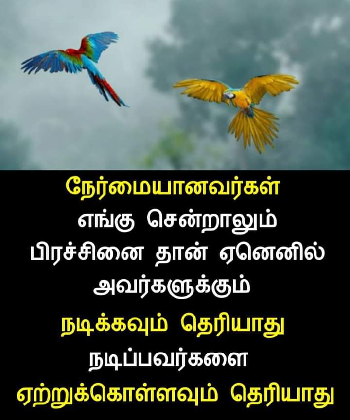 RiswanSaleem's tweet photo. #உண்மைதான்.👍 https://t.co/hEmdS4KPib