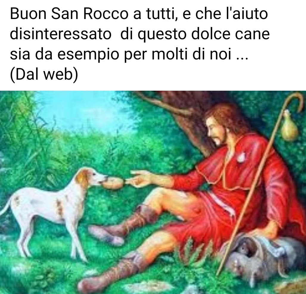 fatina909's tweet photo. #SRocco protettore dei cani 
Mentre il santo giaceva moribondo con i segni visibili della peste, in una grotta un cane lo aiutò a guarire portando per giorni pezzi di pane rubati alla mensa del suo ricco padrone
Grazie al cane il Santo riuscì a riprendersi❤️❤️ https://t.co/jZ6cVBMtpU