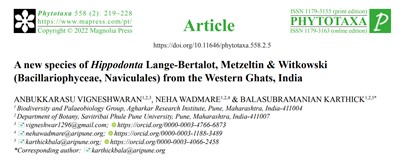 karthickbala's tweet photo. A new species of 𝐻𝑖𝑝𝑝𝑜𝑑𝑜𝑛𝑡𝑎 Lange-Bertalot, Metzeltin &amp; Witkowski (Bacillariophyceae, Naviculales) from the Western Ghats, India by @Vikeyanbu @WadmareNeha  https://t.co/4AK47fCa7w https://t.co/CIcD4d7kXv