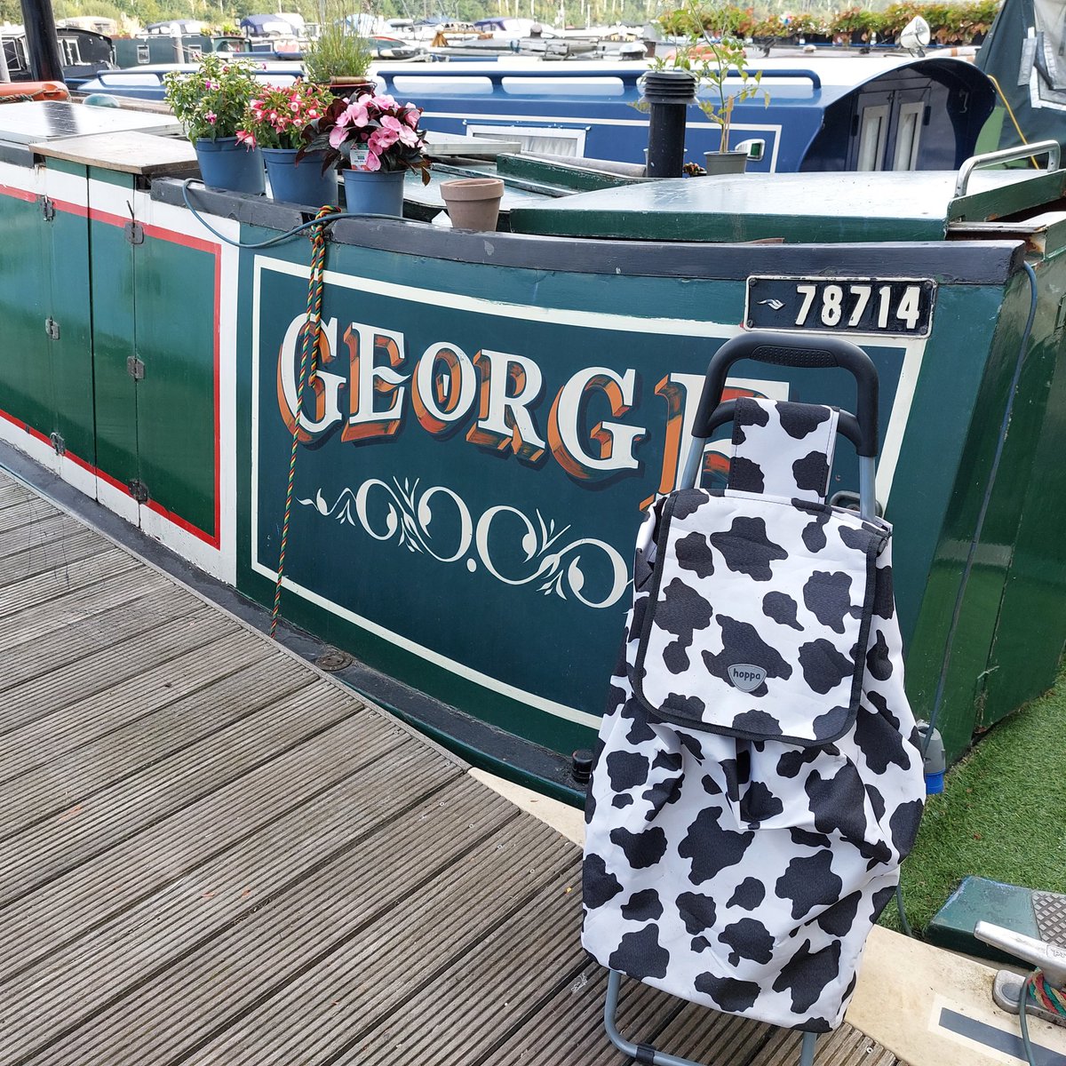 sandi_n69's tweet photo. Yes, George and I can rock the shopping trolley look 😁😎
#narrowboatlife #cowprintisthenewblack #livingthedream https://t.co/N98aCt6MH1