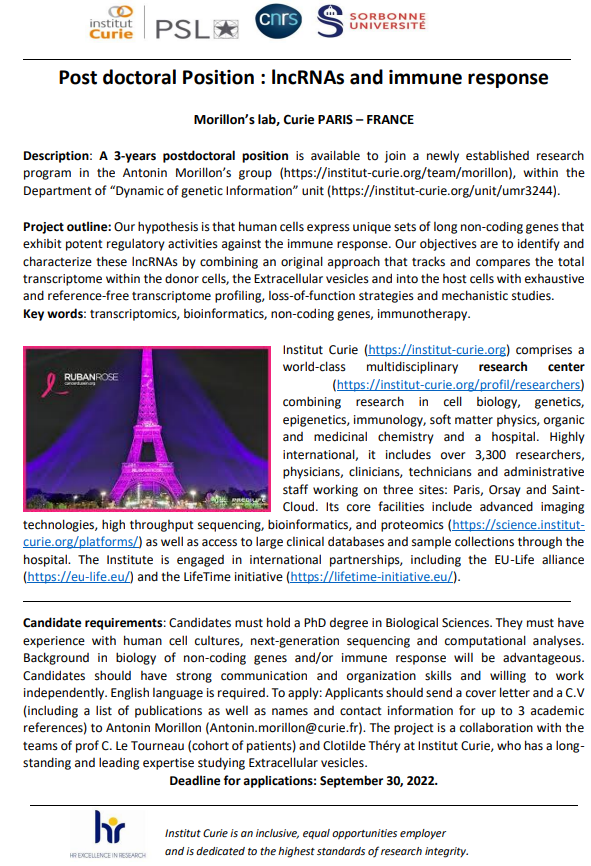 Morillon’s lab tweet media