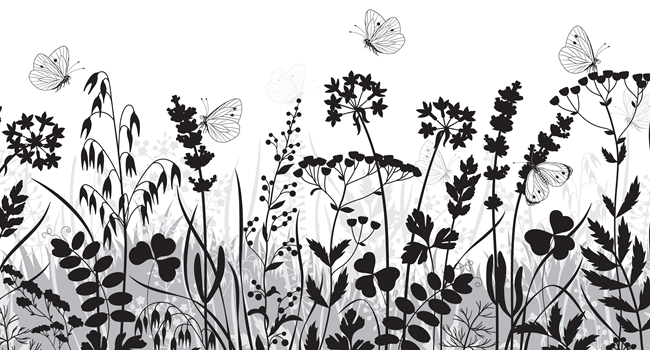 visitgreatayton's tweet photo. Find out how wildflower seeds are collected in Great Ayton Flood Meadow and have fun helping to collect them πΈπΈ https://t.co/ksZyplbVr7 #GreatAytonEvents #VisitGreatAyton #GreatAyton #wildflowers https://t.co/ait3KBhRF1