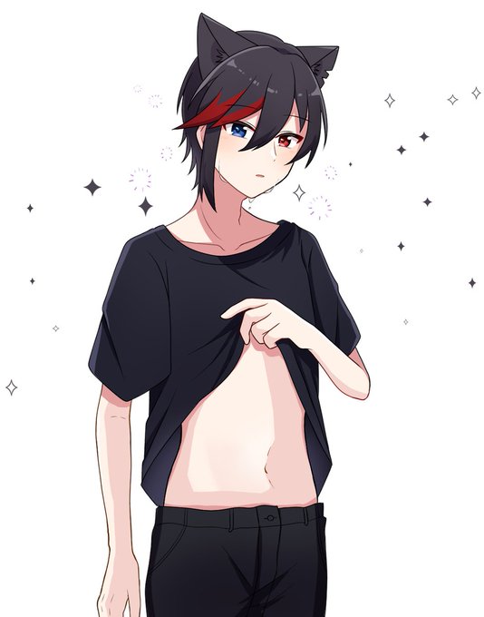 りねこくんのtwitterイラスト検索結果