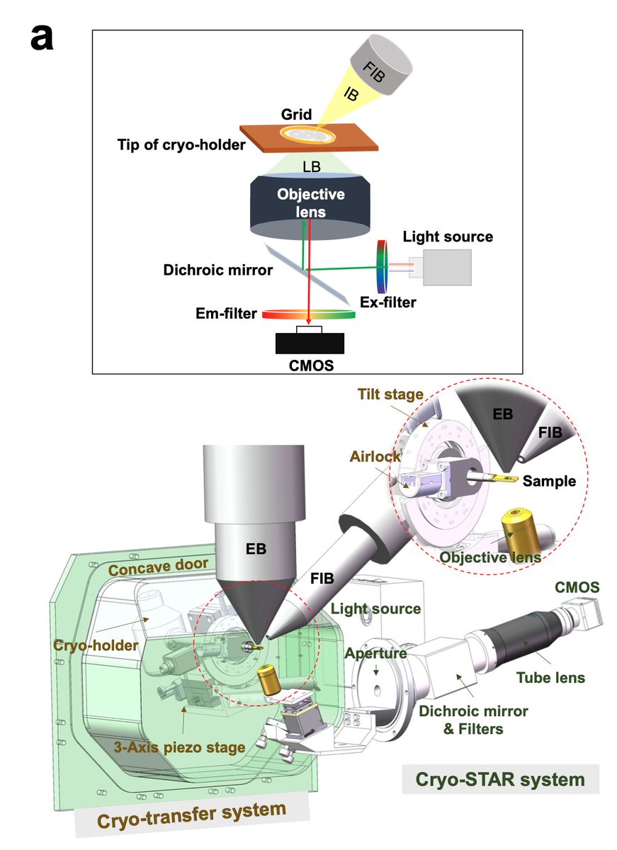 Yang Shi tweet media