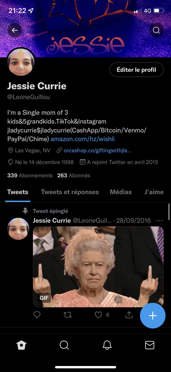 LeoneGuillou's tweet photo. J’arrive sur mon compte Twitter et je vais voir mon profil ( chose que je ne fais jamais) et là je vois que je m’appelle Jessie Currie et que je suis une mère célibataire de 3 enfants ????? 🥲 https://t.co/ZnJwZ044i8