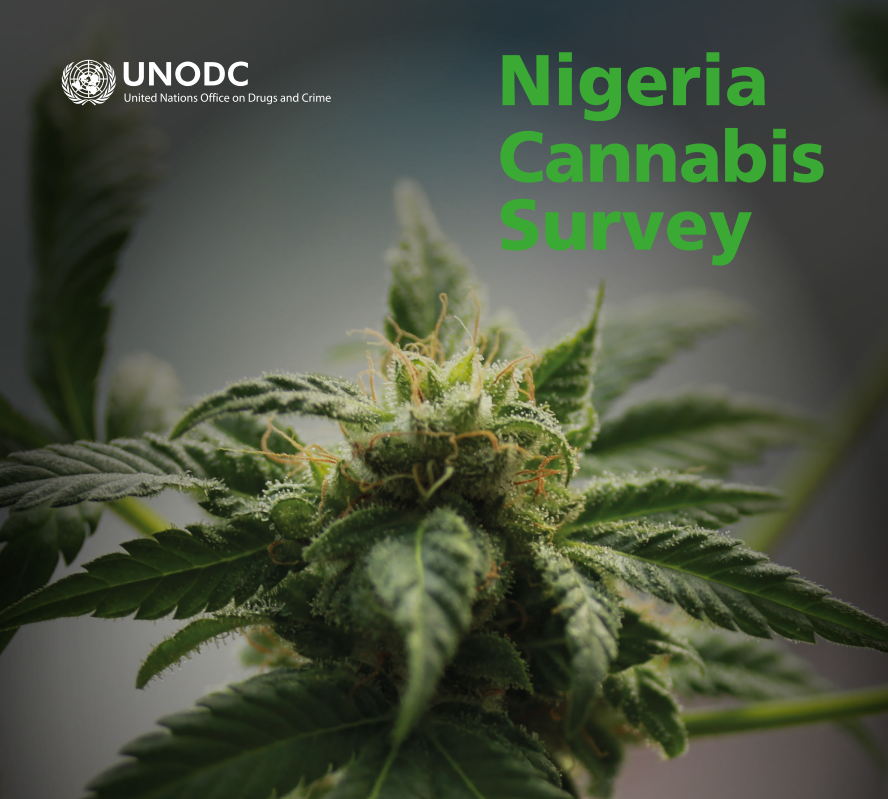 UNODC_Nigeria's tweet photo. Do you want to know the extent of Cannabis cultivation in Nigeria⁉️
Find out more from @UNODC first Cannabis Survey in Nigeria➡️https://t.co/X8lHFxloIS https://t.co/nysuH6T9WV