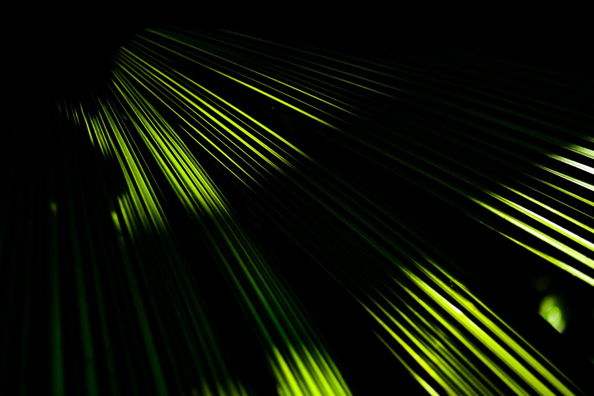 Fotofools 📸 tweet media