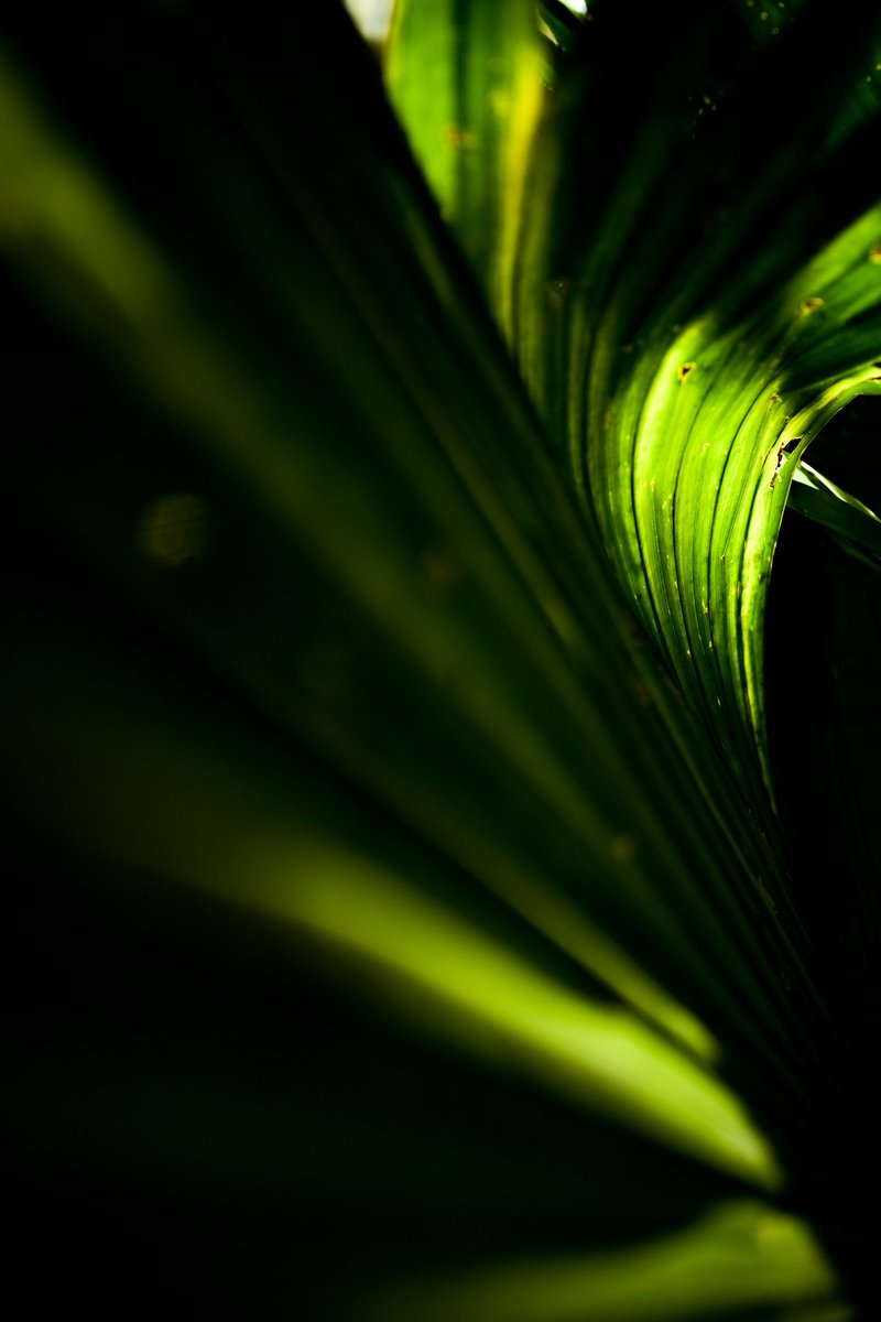 Fotofools 📸 tweet media