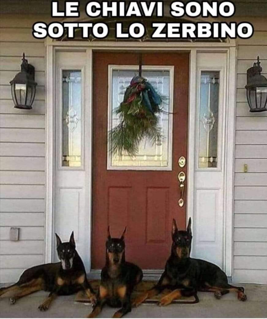 Letta,, faremo una campagna  elettorale Casa per Casa 😇😇😇😇