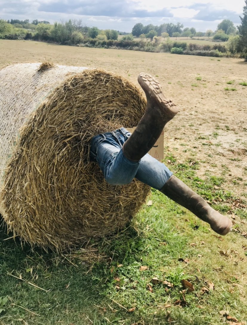 Wobblydogtravel's tweet photo. Happy Tuesday #hayday #tuesdayvibe  #whenisitfriday #Photo_Folio #photo #Yorkshire #farming #misstheweekend #thunderstorms #love https://t.co/0CerAdhduX