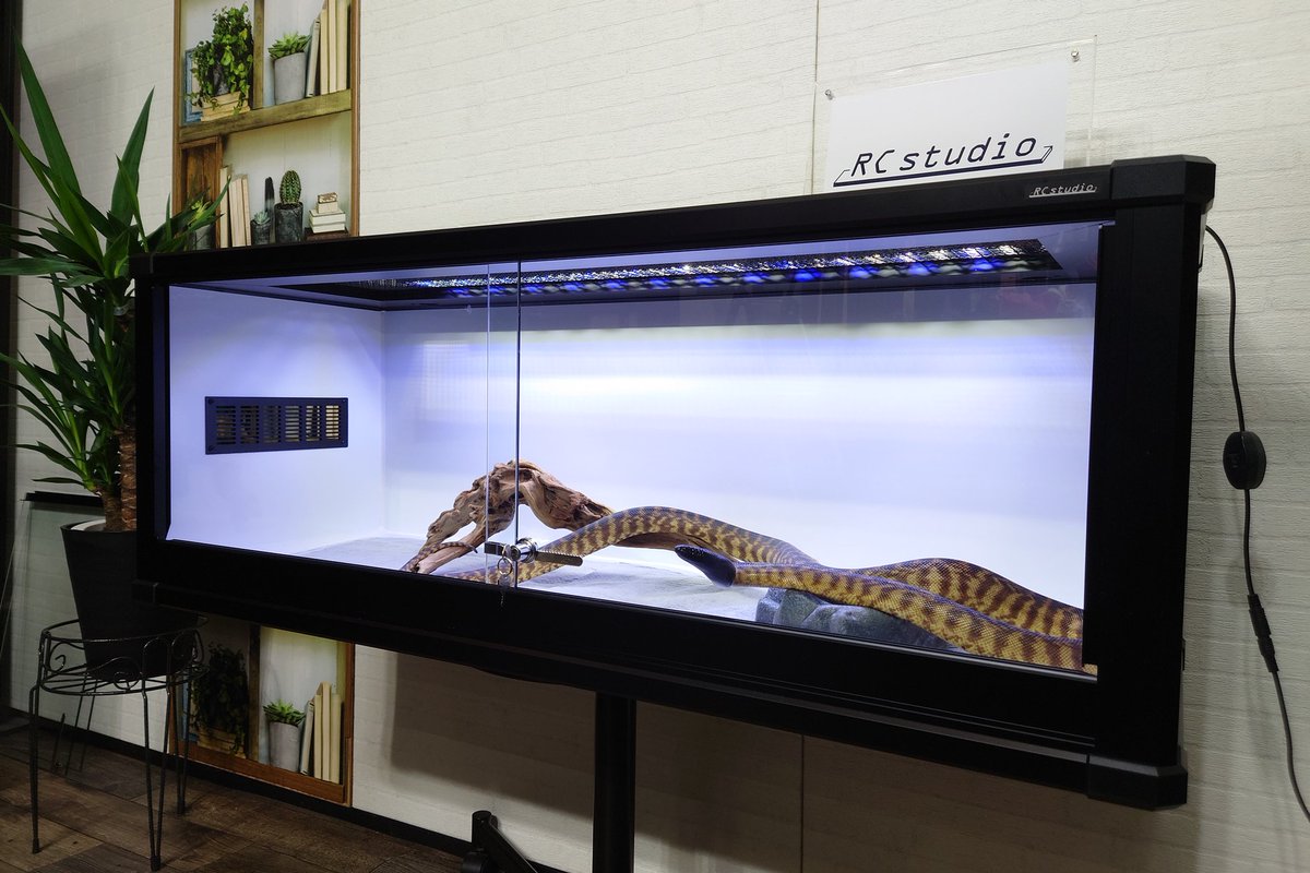 Rc studio ｱｰﾙｼｰｽﾀｼﾞｵ 爬虫類ｹｰｼﾞﾒｰｶｰ tweet media