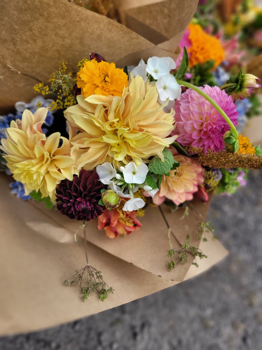 MagsRiordan 'Biology Works' tweet media