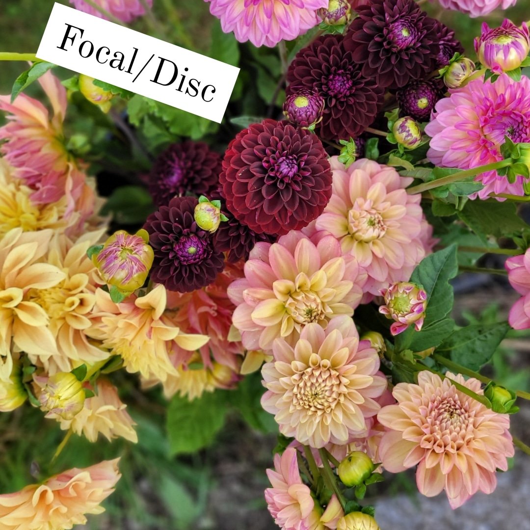 MagsRiordan 'Biology Works' tweet media