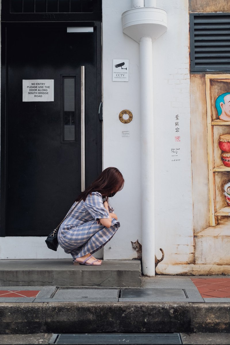 ShotsFired_B's tweet photo. STRAY~
#streetphotography https://t.co/uLBDHYPvQS