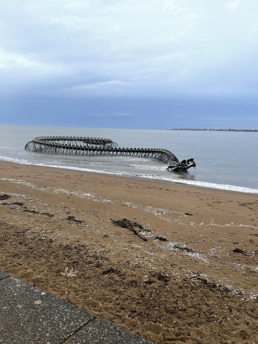 EoleDe's tweet photo. Après le béluga de la Seine voici le serpent de la Loire. Personne ne s’est occupé de lui, une indignité, et voilà ce qu’il en reste. Honte sur vous les ecolos 😜 https://t.co/OqZk45O6jJ