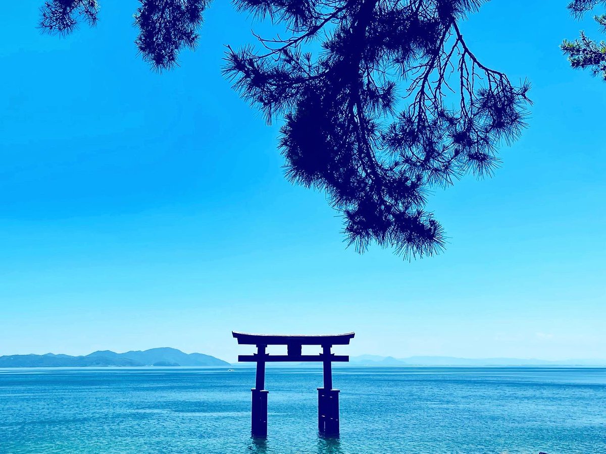 One of my favorites❤️

#NFT #photo #art