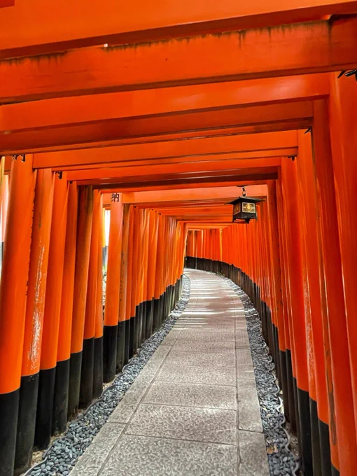 連休中は日帰りで京都宇治で2つのアニメの聖地巡りをしてきましたリフレッシュ出来ました。イラスト頑張ります! 