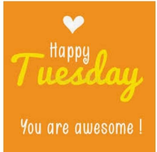 StephanieeeMA_'s tweet photo. @missjillscott Good morning, Jill!😀
Wishing you a blessed and wonderful  day.🙏🏼❤️😘 https://t.co/6iblrhSR9G