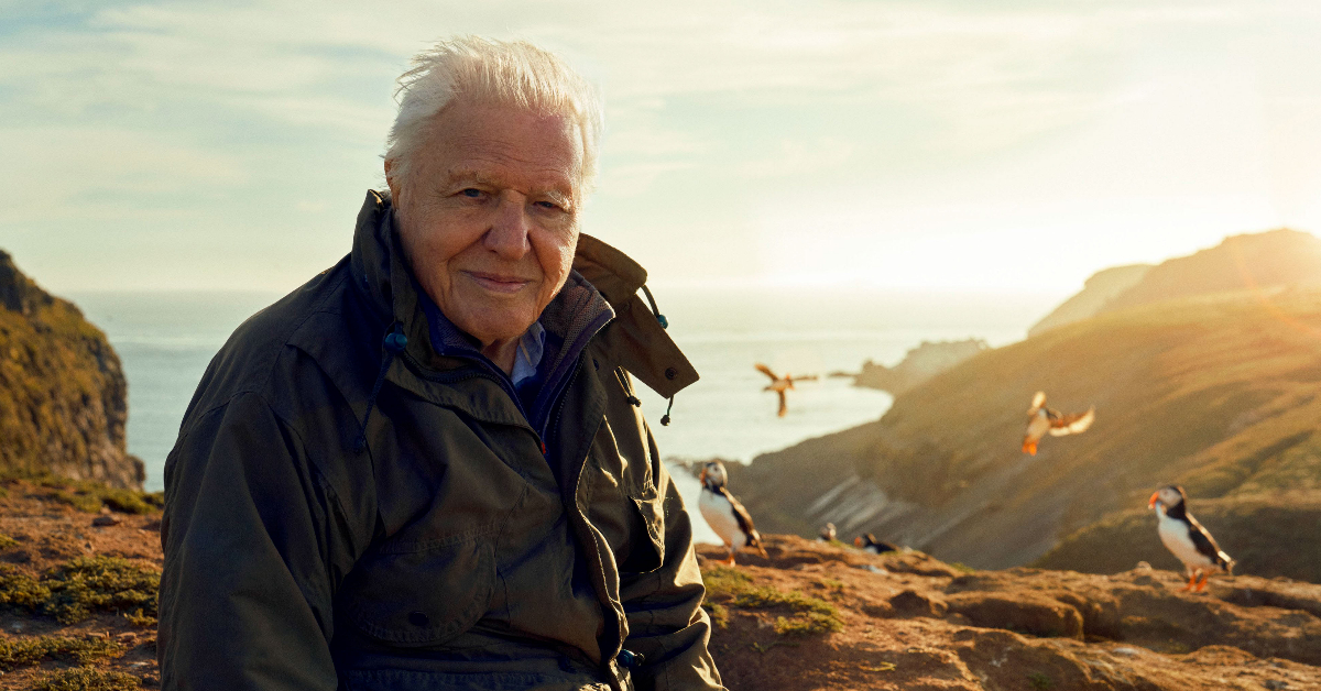 📣 EXCITING ANNOUNCEMENT! 📣

After months of secrecy, we're now delighted to share the news that <a href="/WTSWW/">WildlifeTrustSWWales 🦡🐬</a>'s <a href="/skomer_island/">Skomer Island</a> will feature in the new BBC1 natural history series, Wild Isles, presented by Sir David Attenborough 👏

Read more here👉bit.ly/3QuBAwy

📷Alex Board