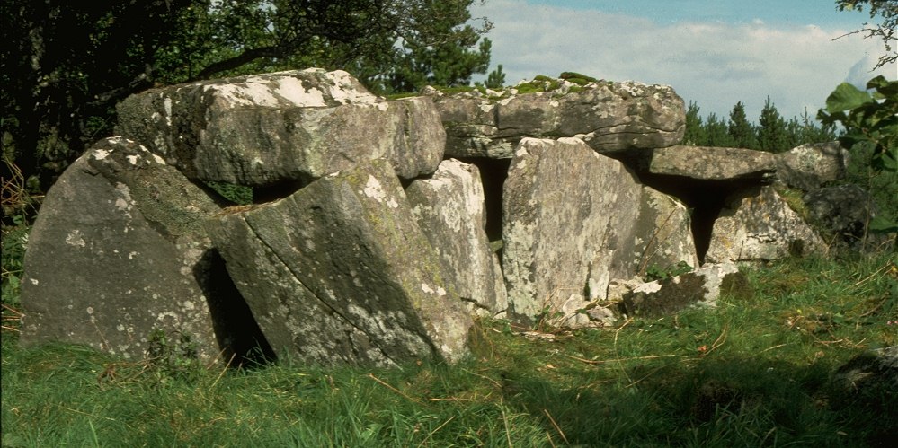 This is the Giant’s Leap Wedge Tomb in Co. Cavan, Ireland. More on the unique boulder monuments there. Human modified with visual alignments, as touched on in my talk last night at <a href="/TheSocial/">The Social</a> for <a href="/the_stone_club/">Stone Club</a> 
Inc Gaby Burns free download book
Thread - read on! #TombTuesday 1/
