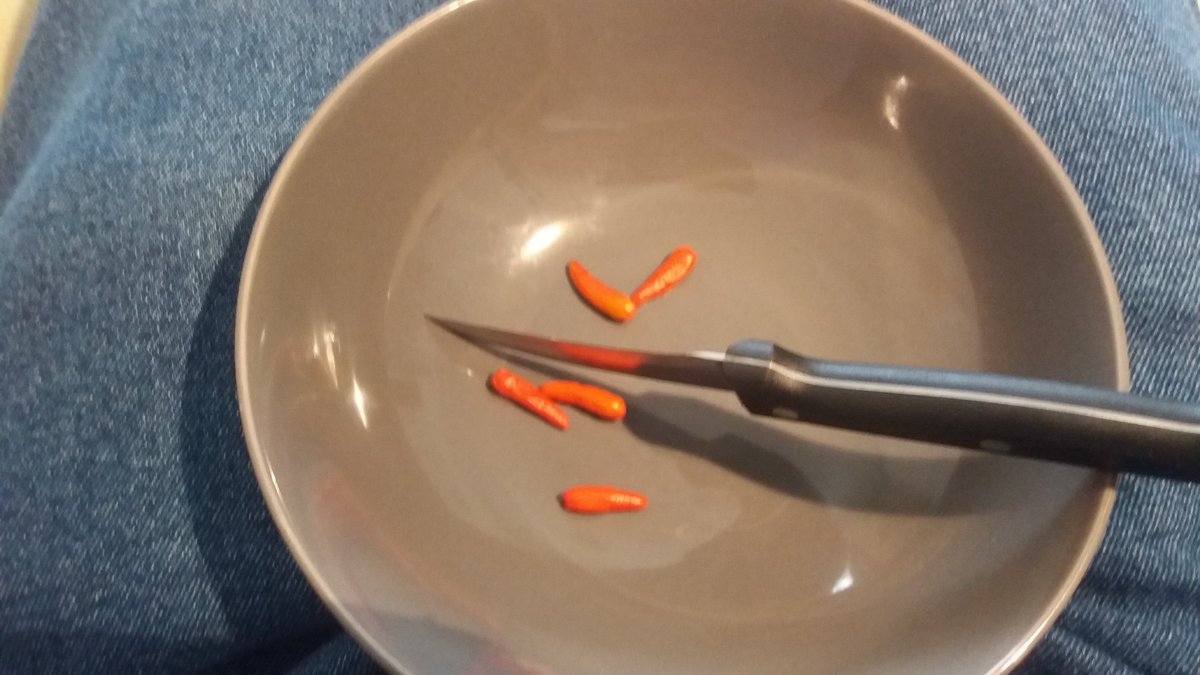ChilliesHolt's tweet photo. My 1st seed saving of the year! :-) #Pequin #chilli https://t.co/XDx1OmGcwZ