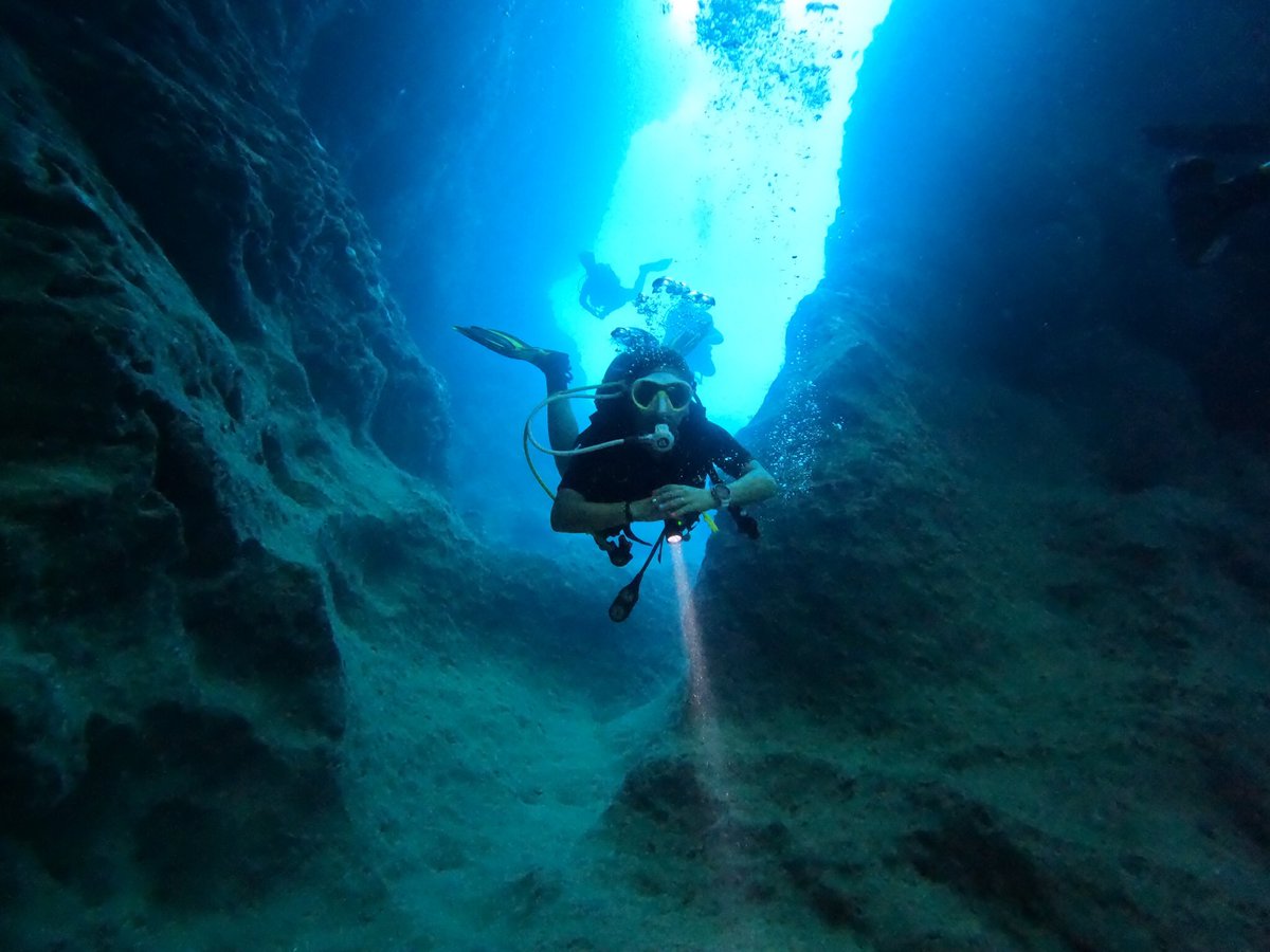 blackfishdive's tweet photo. 13-14/08/2022 Fethiye dalışımızdan görüntüler. @ogsmarine #scubapro #scubadiving #diving https://t.co/UHMvx57XCA