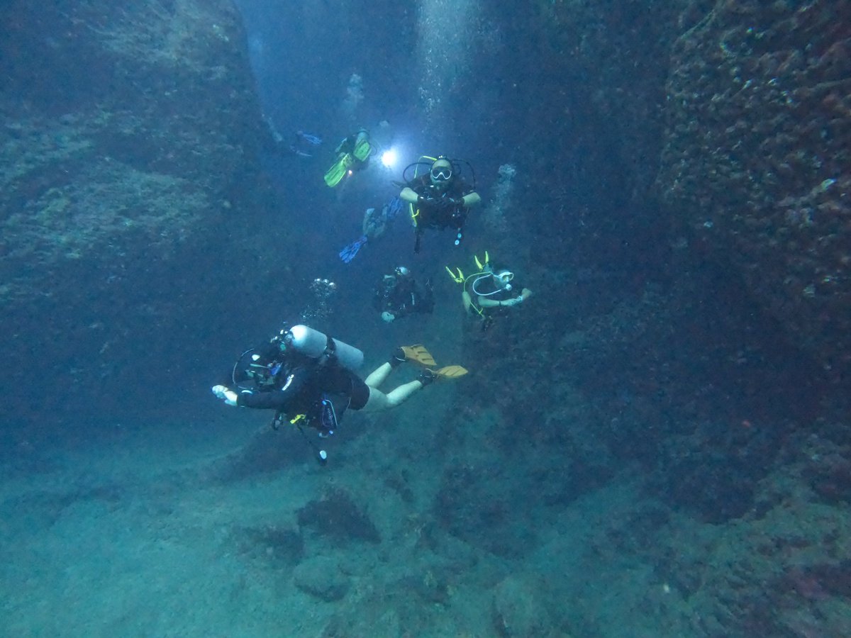 blackfishdive's tweet photo. 13-14/08/2022 Fethiye dalışımızdan görüntüler. @ogsmarine #scubapro #scubadiving #diving https://t.co/UHMvx57XCA
