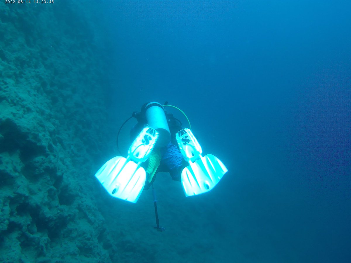 blackfishdive's tweet photo. 13-14/08/2022 Fethiye dalışımızdan görüntüler. @ogsmarine #scubapro #scubadiving #diving https://t.co/UHMvx57XCA